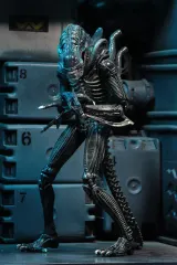 NECA Alien 7" Ultimate Blue Warrior Figure (1986) - Thumbnail 8