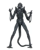 NECA Alien 7" Ultimate Blue Warrior Figure (1986) - Thumbnail 1