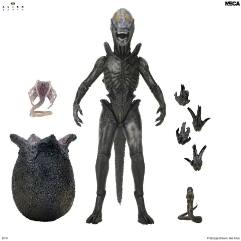 NECA Alien: Earth Ultimate Action Figure – Wendy Xenomorph 7" (18 cm)