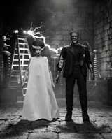 NECA Universal Monsters 90.º Aniversario Bride & Monster Two-Pack - Thumbnail 10