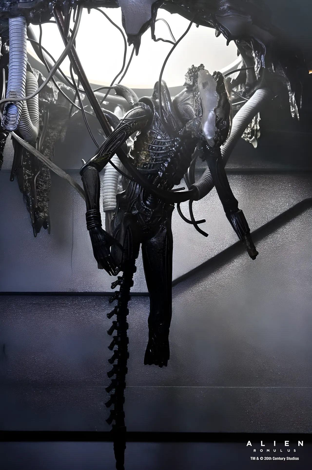 NECA Xenomorph Action Figure – Alien: Romulus 18cm Deluxe - Image 11