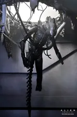 NECA Xenomorph Action Figure – Alien: Romulus 18cm Deluxe - Thumbnail 11