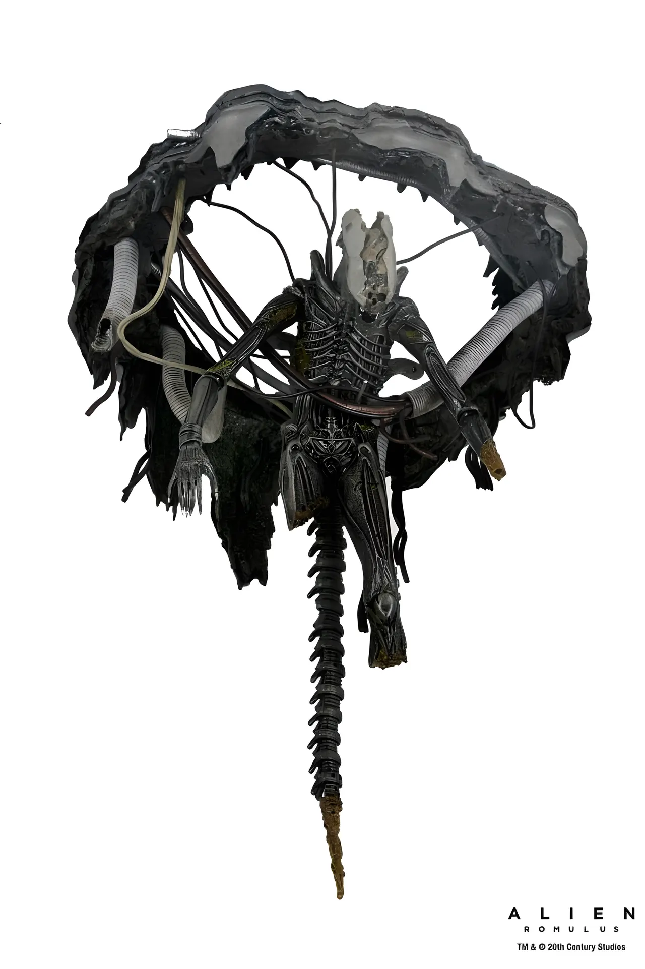 NECA Xenomorph Action Figure – Alien: Romulus 18cm Deluxe - Image 2
