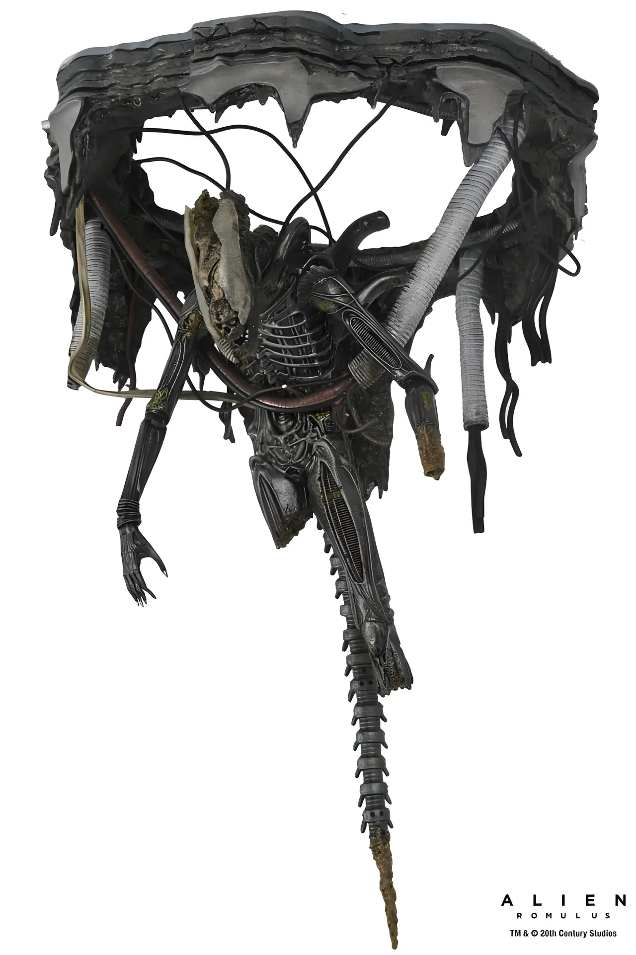 NECA Xenomorph Action Figure – Alien: Romulus 18cm Deluxe - Image 3