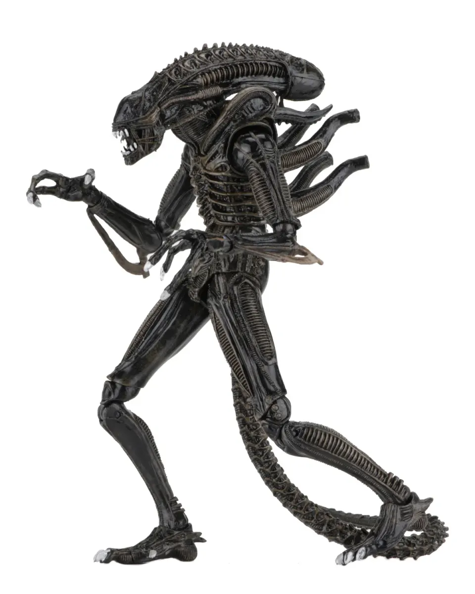 NECA Alien Xenomorph Warrior Ultimate Figure – 7" Scale Brown - Image 2