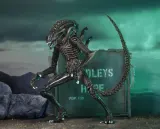 NECA Alien Xenomorph Warrior Ultimate Figure – 7" Scale Brown - Thumbnail 4