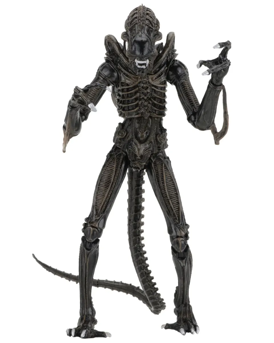 NECA Alien Xenomorph Warrior Ultimate Figure – 7" Scale Brown - Image 1