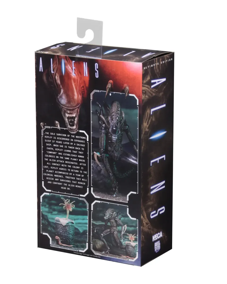 NECA Alien Xenomorph Warrior Ultimate Figure – 7" Scale Brown - Image 8