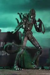NECA Alien Xenomorph Warrior Ultimate Figure – 7" Scale Brown - Thumbnail 5