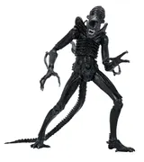 NECA Aliens Ultimate Action Figure – Xenomorph Warrior (40th Anniversary, 23 cm) - Thumbnail 1