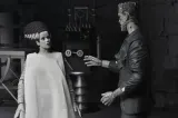 NECA Universal Monsters 7" Novia de Frankenstein 2-Pack B&W - Thumbnail 6