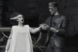 NECA Universal Monsters 7" Novia de Frankenstein 2-Pack B&W - Thumbnail 12
