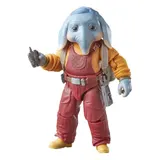 Alliance Entertainment Neel Star Wars Black Series 6" Figurine articulée - Thumbnail 2