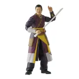 Hasbro Marvel Legends 6" Wong – Doctor Strange Multivers de la Folie - Thumbnail 4