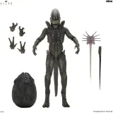 NECA Alien: Earth Ultimate Xenomorph Action Figure – 7" Scale - Thumbnail 1