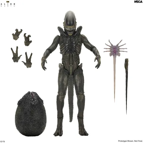 NECA Alien: Earth Ultimate Xenomorph Action Figure – 7" Scale