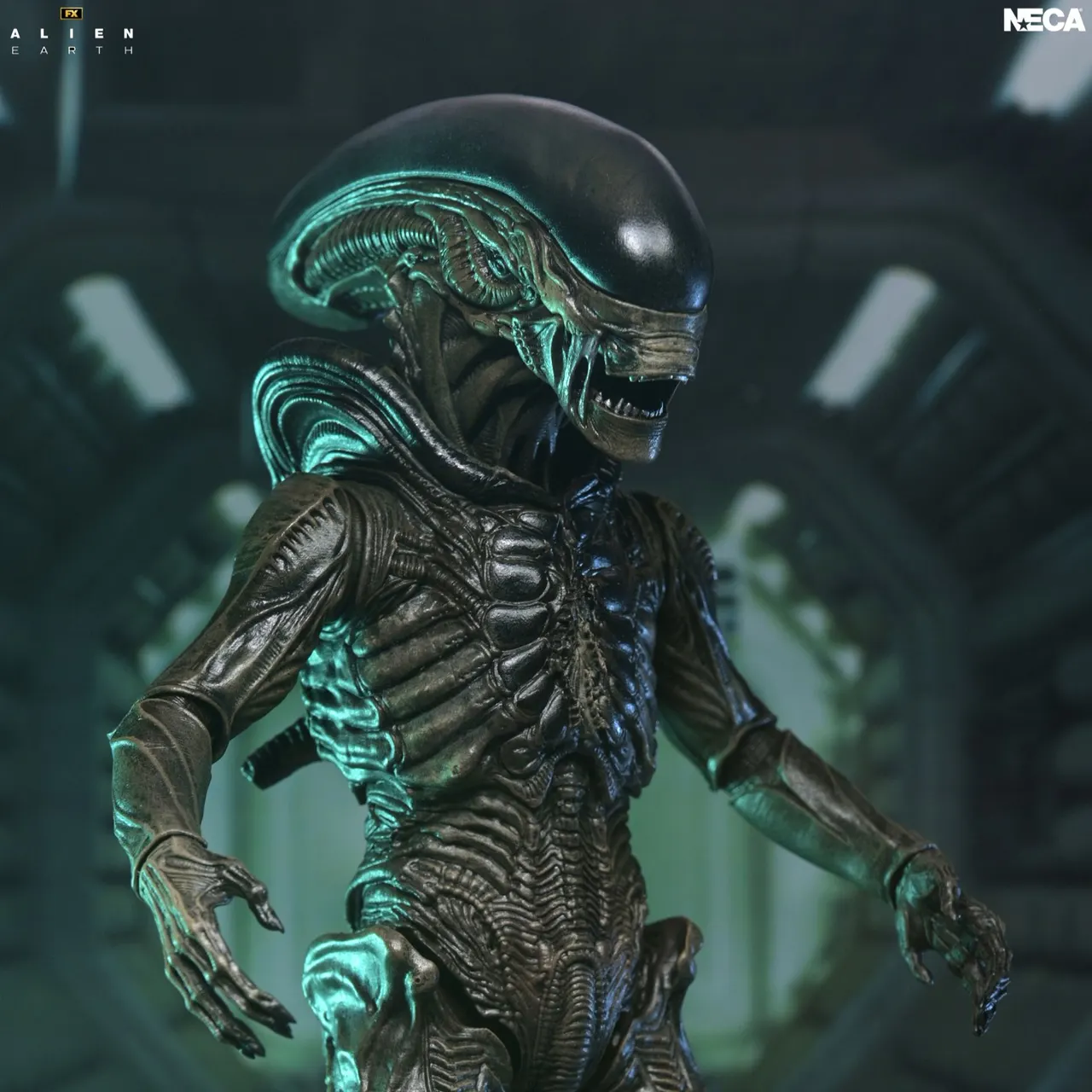 NECA Alien: Earth Ultimate Xenomorph Action Figure – 7" Scale - Image 2