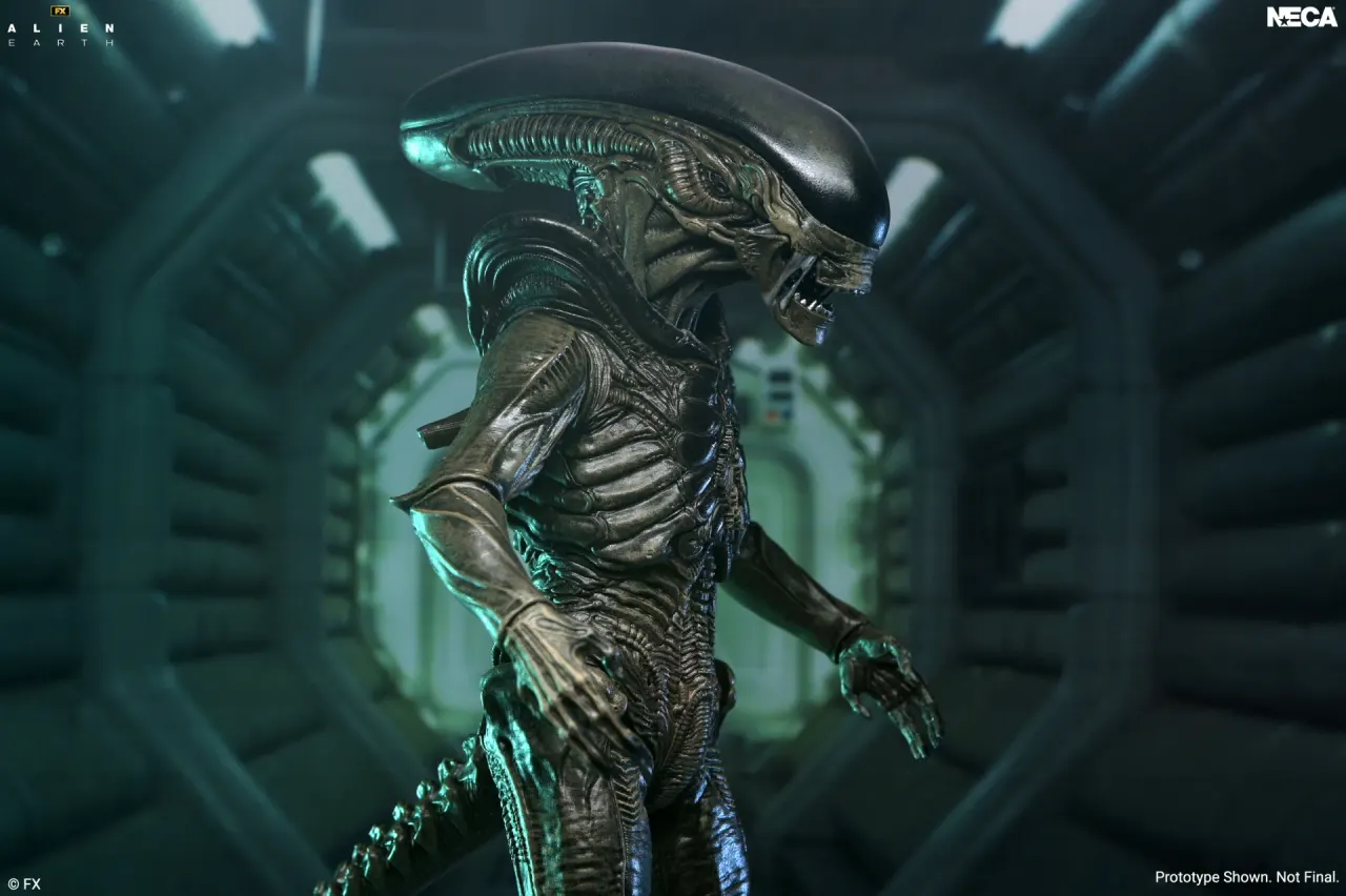 NECA Alien: Earth Ultimate Xenomorph Action Figure – 7" Scale - Image 4