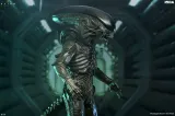 NECA Alien: Earth Ultimate Xenomorph Action Figure – 7" Scale - Thumbnail 4
