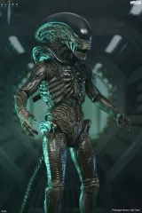 NECA Alien: Earth Ultimate Xenomorph Action Figure – 7" Scale - Thumbnail 3