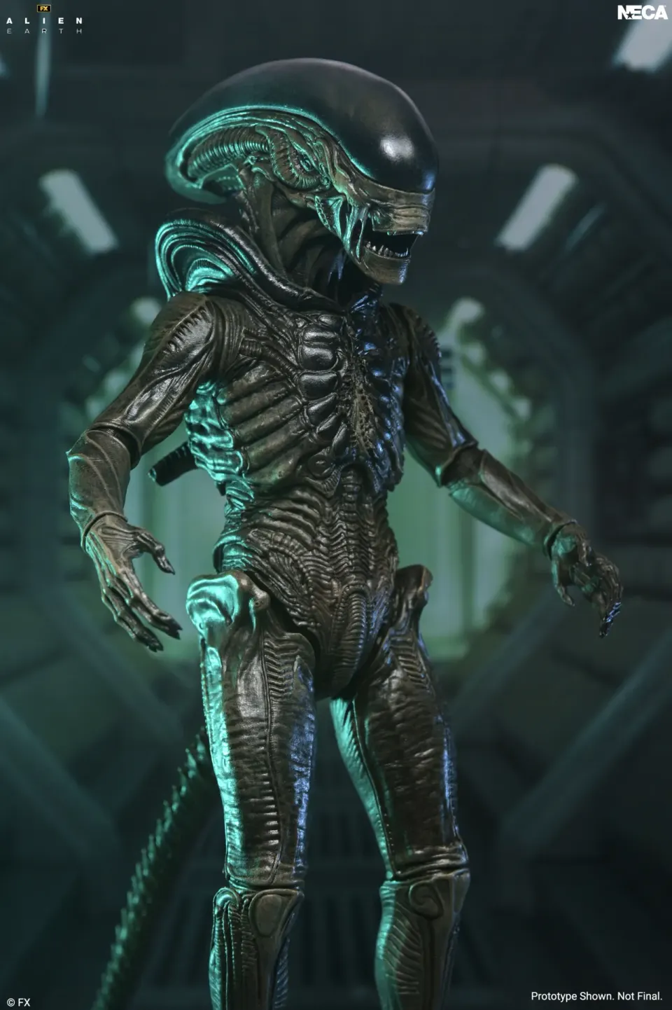 NECA Alien: Earth Ultimate Xenomorph Action Figure – 7" Scale - Image 3