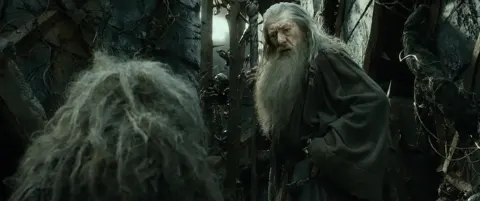 Gandalf the Grey 6