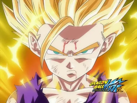 Dragon Ball Z 9