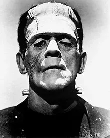 Frankenstein (1931 film) version 1